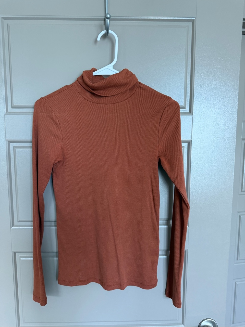 bp Rust Long-Sleeve Turtleneck Top